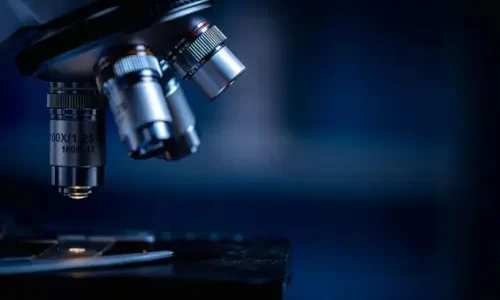 Technology-Research-Microscope-1-600×344 Technology-Research-Microscope-1-600x344